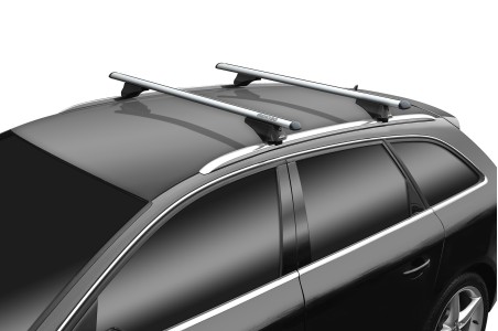 TIGER XL SILVER TIGER XL SILVER