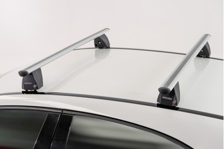 DELTA XL SILVER + FEET KIT + FIX207FP - F.lli DELTA XL SILVER + FEET KIT + FIX207FP - F.lli